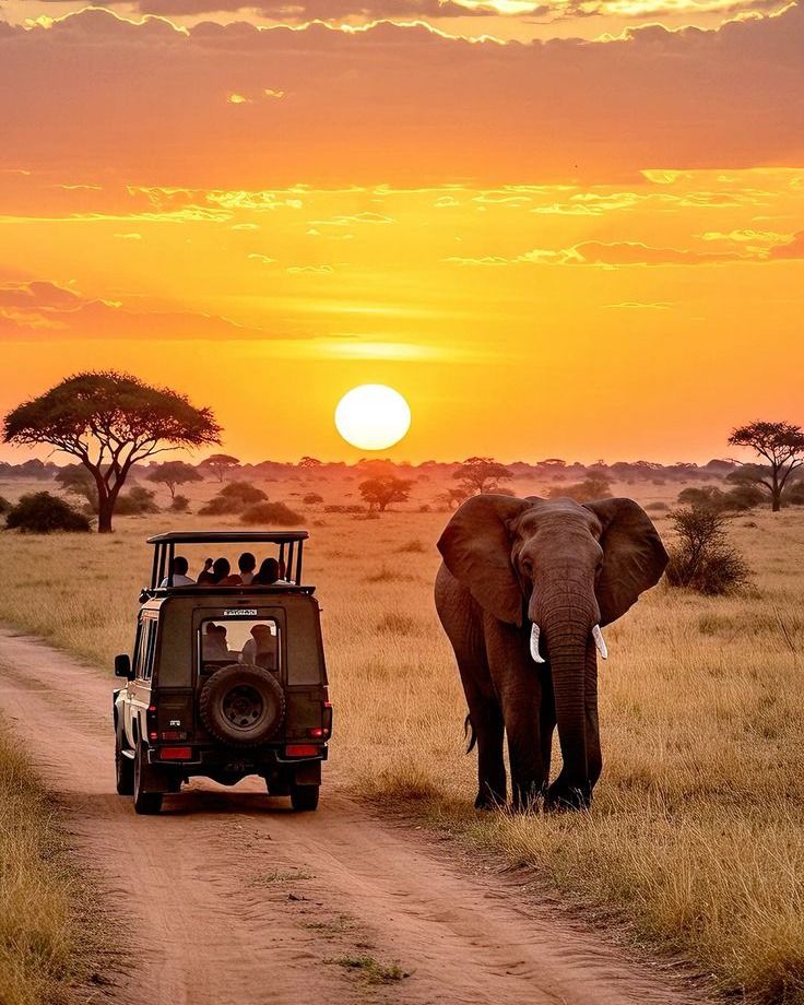 Nature Photography